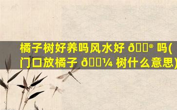 橘子树好养吗风水好 💮 吗(门口放橘子 🐼 树什么意思)